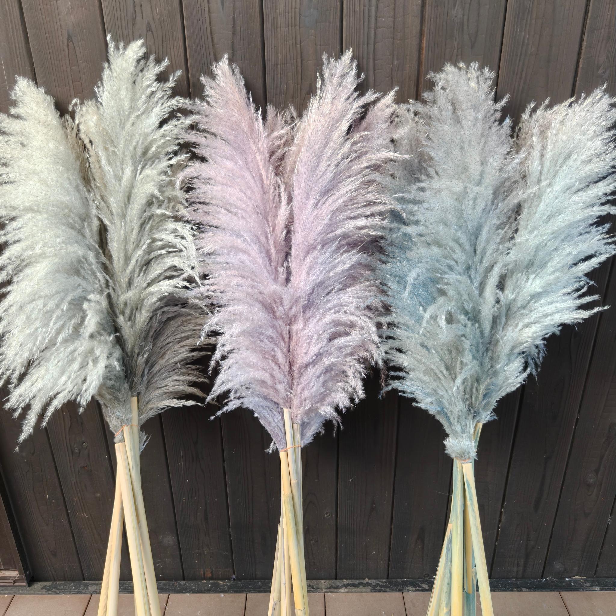 今季！グレージュ、ニュアンスカラーのパンパスグラス  開店祝い ドライフラワーインテリア ウェディング大人クリスマス | 2枚目